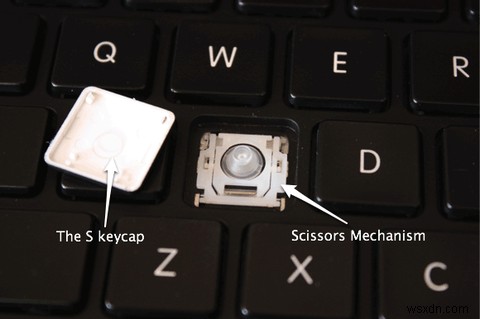 You Just Spilled Water Or Coffee On Your Laptop - Heres What You Should Do