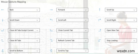 Everything You Need to Know About Microsoft Edge Browser Extensions