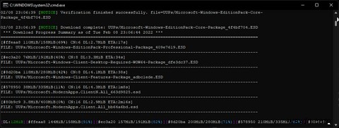 How to Download the Windows 11 Insider ISO Without Joining the Insider Program