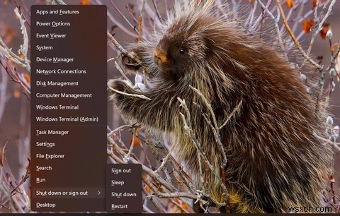 8 Ways to Access the Advanced Startup Options Menu in Windows 11