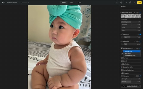 A Detailed Guide to All the Adjust Tools for Photos on Mac