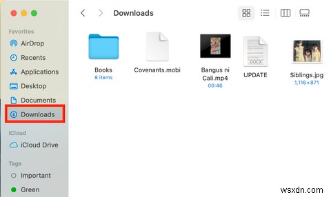 Where to Find Downloaded Files in Safari on a Mac and How to Manage Them