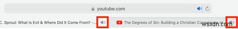 Annoying Audio Playing in Safari? Here’s How to Find and Mute Noisy Safari Tabs