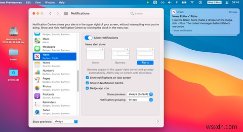 How to Control Notifications in macOS