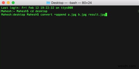 3 Quick Ways to Combine Photos Into a Collage on macOS