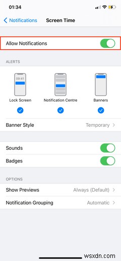 How to Turn Off Screen Time on iPhone and Mac