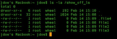 A Beginners Guide to Using the Mac Terminal
