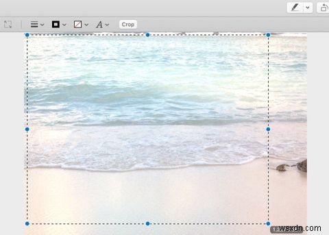 How to Edit Photos on Mac Using the Preview App