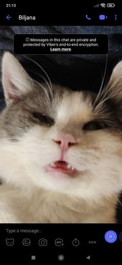 8 Useful Viber Features Everyone Should Know