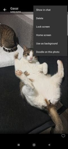 8 Useful Viber Features Everyone Should Know