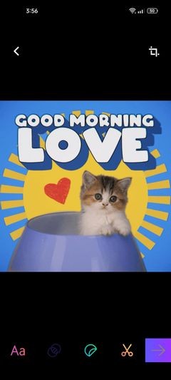 The 6 Best GIF Creator Apps for Android