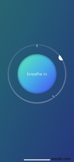 Calm Free vs. Premium: What Do You Get for Your Money?