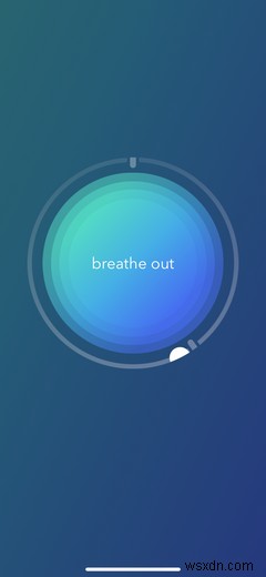 Calm Free vs. Premium: What Do You Get for Your Money?