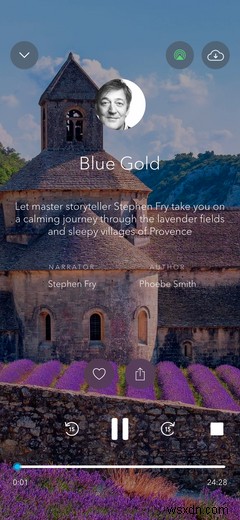 Calm Free vs. Premium: What Do You Get for Your Money?