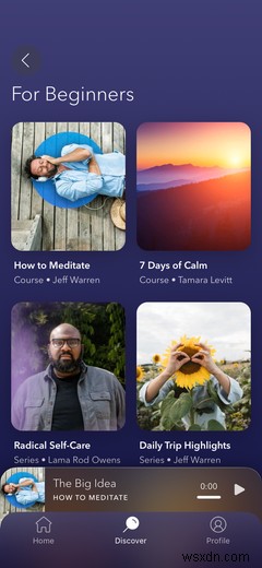 Calm Free vs. Premium: What Do You Get for Your Money?