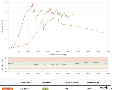 6 Bread-Baking Apps for a Calming Sourdough Ritual