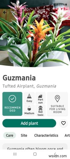 7 Wellness Subscriptions You Can Gift Your Loved Ones This Christmas