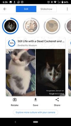 Find Your Pet in Famous Artworks With Google’s Arts & Culture App