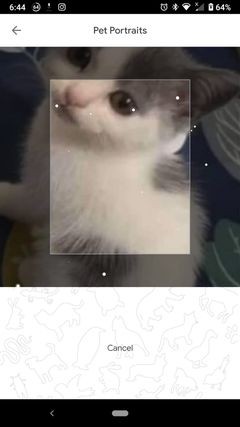 Find Your Pet in Famous Artworks With Google’s Arts & Culture App