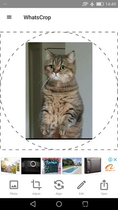 Improve Your WhatsApp Experience With These 10 Top Android Apps