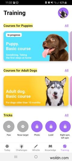 5 Dog Whistle and Clicker Training Apps for Android
