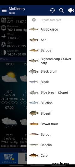 The 6 Best Fishing Forecast Apps