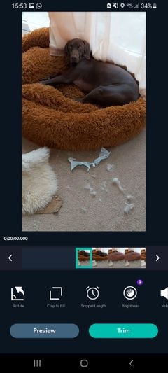 Create a Movie of Your Life With the 1 Second Everyday App