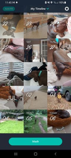 Create a Movie of Your Life With the 1 Second Everyday App