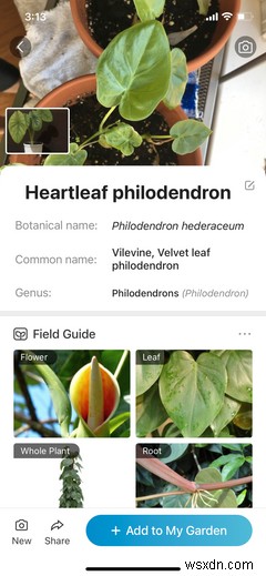 6 Outdoor Apps You Should Try With Your Kids