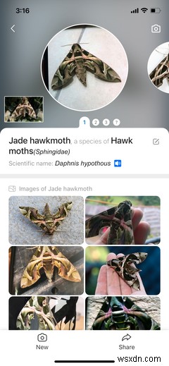 6 Outdoor Apps You Should Try With Your Kids