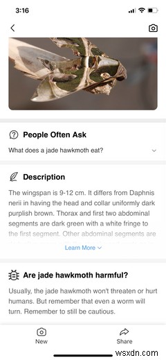 6 Outdoor Apps You Should Try With Your Kids