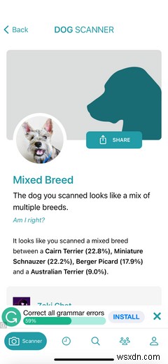 6 Outdoor Apps You Should Try With Your Kids