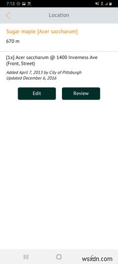 How to Forage for Free Food With the Falling Fruit App
