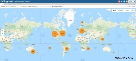How to Forage for Free Food With the Falling Fruit App