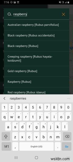 How to Forage for Free Food With the Falling Fruit App