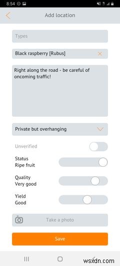 How to Forage for Free Food With the Falling Fruit App