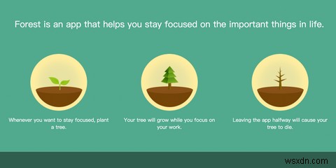 Is It Worth Upgrading to the Pro Version of Forest for Android?