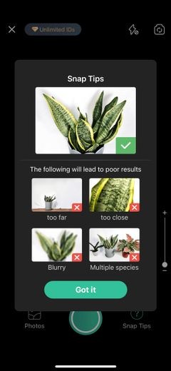 7 Android and iPhone Apps to Help Planting a New Garden