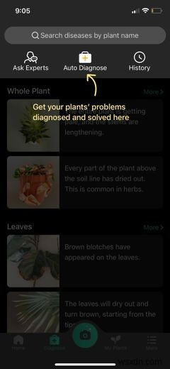 7 Android and iPhone Apps to Help Planting a New Garden