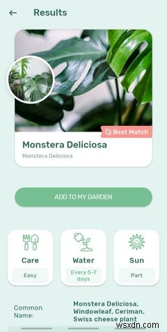 The 5 Best Android Apps for Taking Care of House Plants