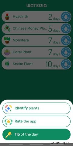 The 5 Best Android Apps for Taking Care of House Plants