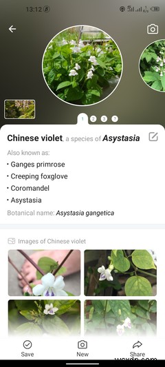 The 5 Best Google Lens Alternatives for Android
