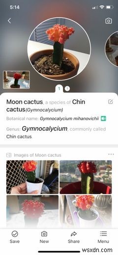 6 AI Apps That Will Improve Your Quality of Life