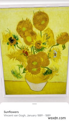 7 Amazing Things You Can Do in Google’s Arts and Culture App