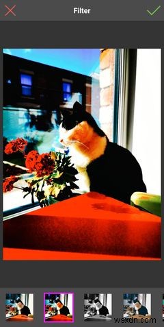 The 5 Best Android Apps to Reduce Image Size