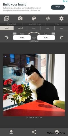The 5 Best Android Apps to Reduce Image Size
