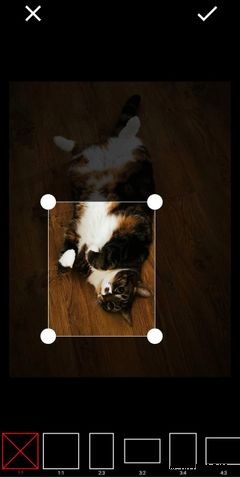 The 5 Best Android Apps to Reduce Image Size