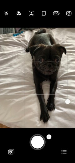 The Best Camera Apps for Android and iPhone