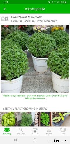 7 Helpful Gardening Apps for Android and iPhone