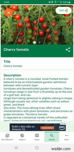 7 Helpful Gardening Apps for Android and iPhone